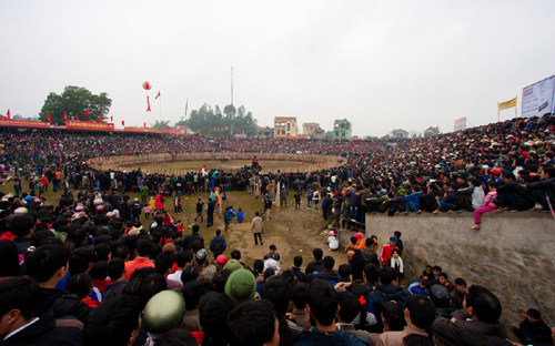 Most ancient buffalo fighting festival in Vietnam